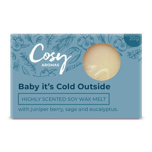 Baby It's Cold Outside Wax Melt