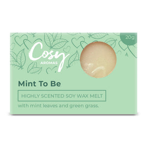 Mint To Be Wax Melt