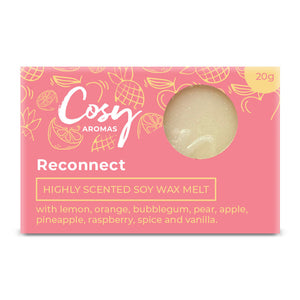 Reconnect Wax Melt