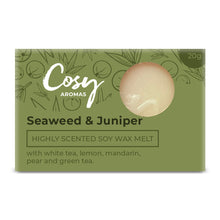 Load image into Gallery viewer, Seaweed &amp; Juniper Wax Melt
